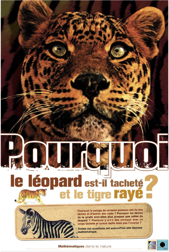 Mathématiques dans la nature - Image 2